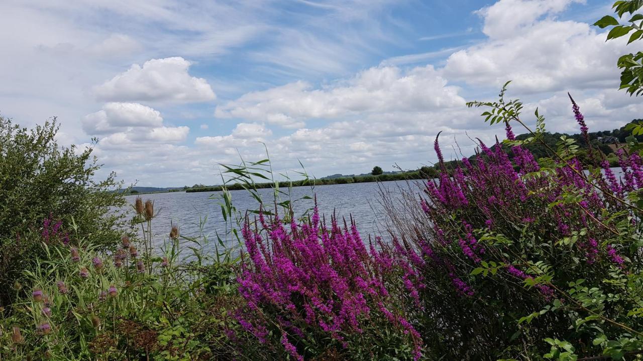 Belle Visnonia Meuble De Caractere Sud Morbihan Béganne Exterior foto